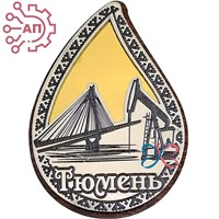 Магнит III с гравировкой дерево + пластик Капля достопримечательности Тюмень 34908 34908