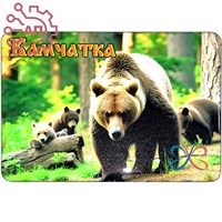 Шкатулка малая резная со смолой Медведица с медвежатами Камчатка 34969 34969