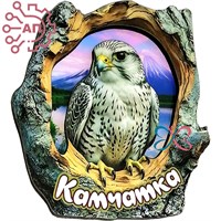 Магнит II Кора с соколом Камчатка 34974 34974