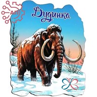 Магнит I Мамонт Дудинка, Таймыр 35001 35001