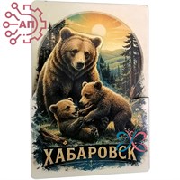 Магнит II серии "Постер" Медведица с медвежатами Хабаровск 35085 35085