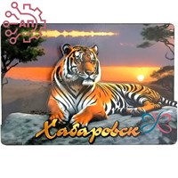 Магнит II Тигр на закате Хабаровск 35088 35088