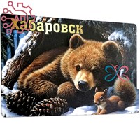 Магнит II Медвежонок с белкой Хабаровск 35089 35089