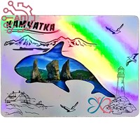 Магнит II контур голограмма Косатка Камчатка 35148 35148