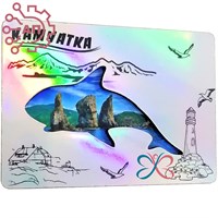 Магнит II контур голограмма Косатка Камчатка 35148 35148
