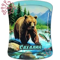 Магнит II со смолой Медведь Сахалин 35207 35207