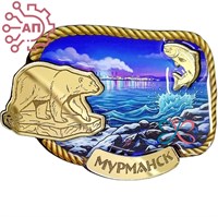 Магнит II со смолой и фурнитурой Канатная рамка с китом Мурманск, Териберка 35213 35213