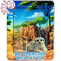 Магнит III с закрытой фурнитурой Сурикаты Воронеж 35229 35229