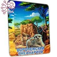 Магнит III с закрытой фурнитурой Сурикаты Воронеж 35229 35229