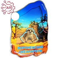 Магнит III с закрытой фурнитурой Сурикат Воронеж 35230 35230