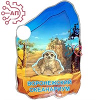 Магнит III с закрытой фурнитурой Сурикат Воронеж 35230 35230