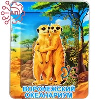 Магнит III с закрытой фурнитурой Сурикат Воронеж 35230 35230