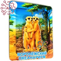 Магнит III с закрытой фурнитурой Сурикат Воронеж 35230 35230