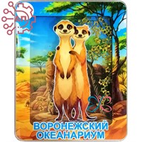 Магнит III с закрытой фурнитурой Сурикат Воронеж 35230 35230